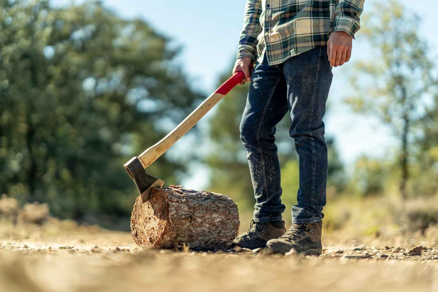 Best Tree Cutting Near Me  in Buchanan, GA